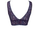 Antigel Dentelle chevron bralette