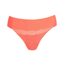 Prima Donna Sophora string